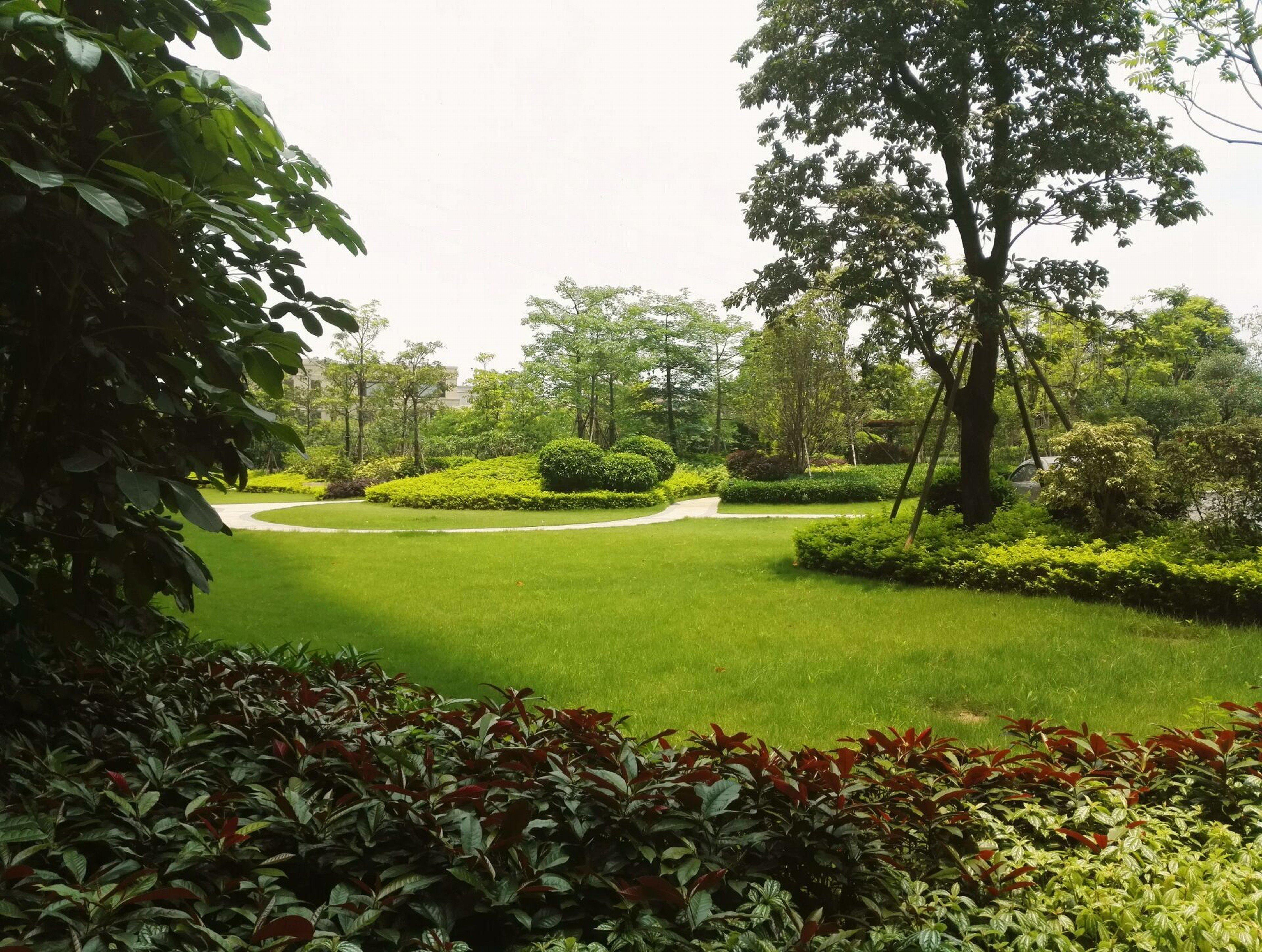 Crowne Plaza Guangzhou Zengcheng By Ihg- Canton Fair Free Shuttle Bus Zewnętrze zdjęcie
